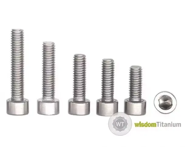 titanium micro screw.jpg
